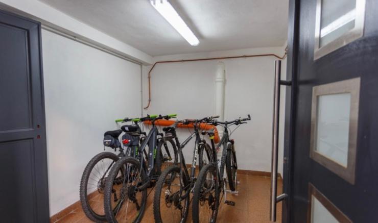 Apartment Tilia